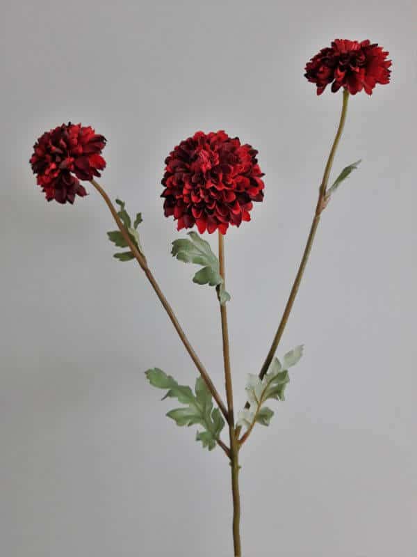 Dahlia bordeaux rood 42 cm
