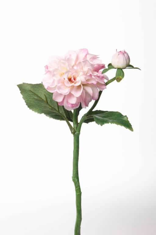 Dahlia roze 35cm
