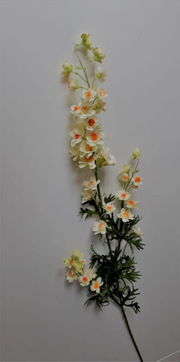 Delphinium creme-oranje 82 cm