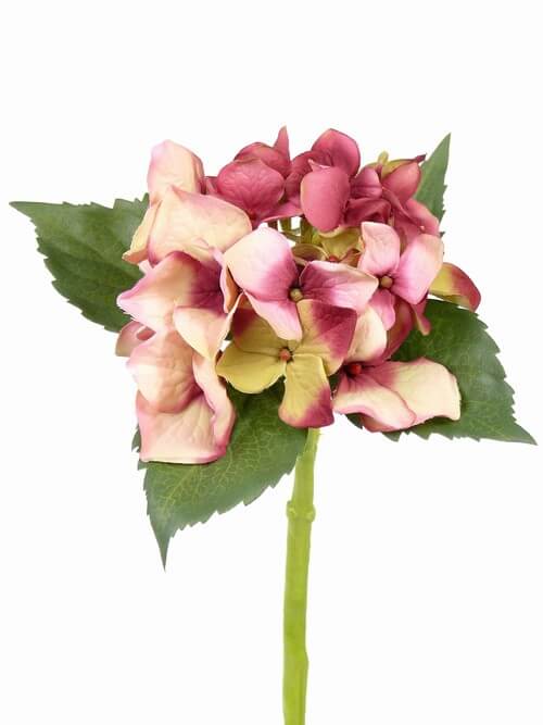 Hortensia De Luxe roze 31cm
