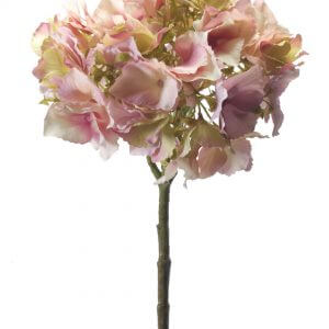 Hortensia Groot roze 50cm