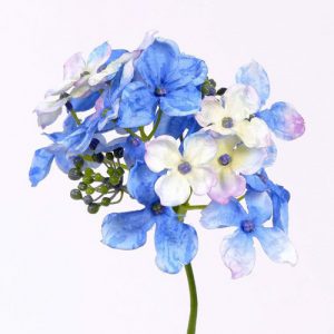 Hortensia blauw wit 30cm