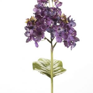 Hortensia donker paars 35cm