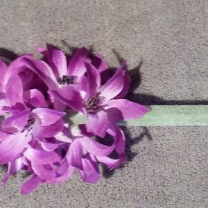 Hyacint paars