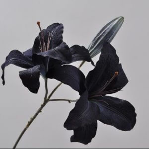 Lily Spray zwart 92cm