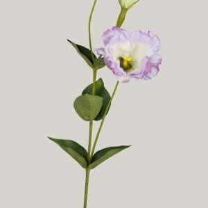 Lisianthus lila 40 cm