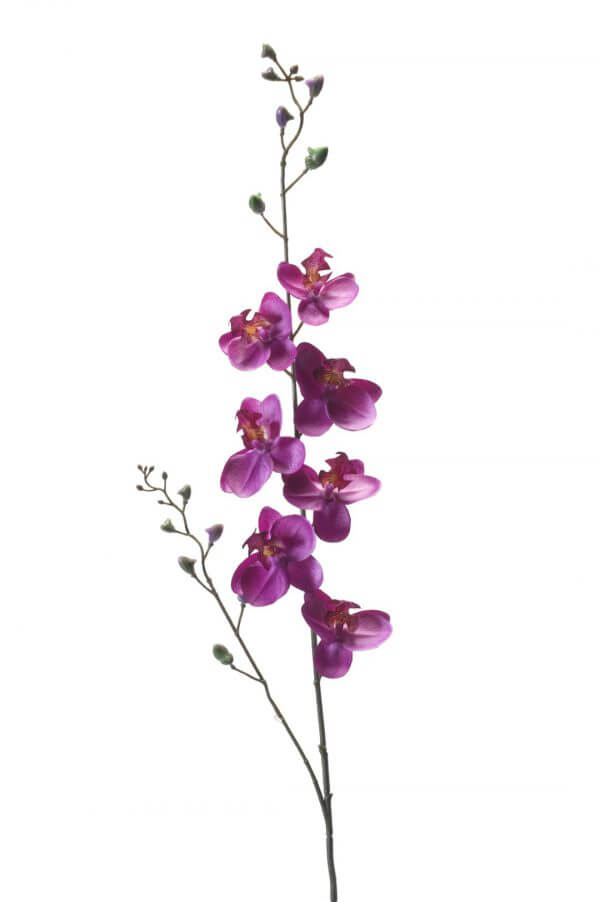 Orchidee fuchsia 75cm