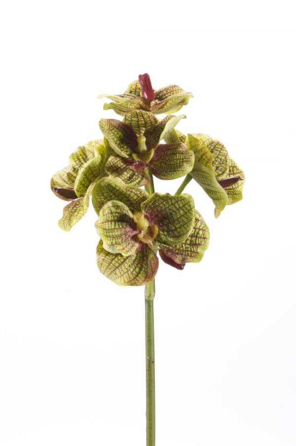 Orchidee groen 43 cm