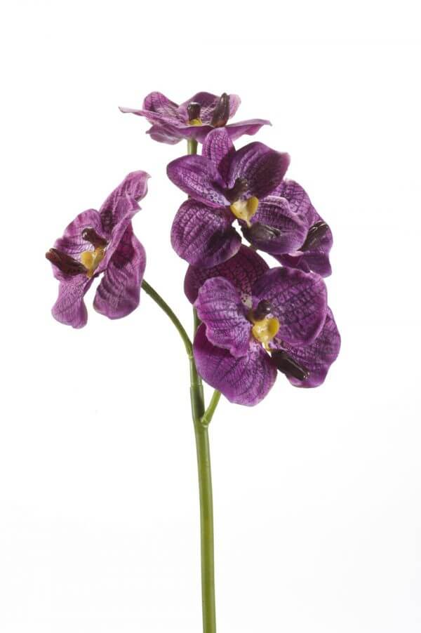 Orchidee paars 43cm