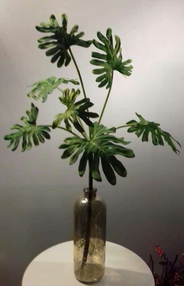 Philodendron branch 86 cm