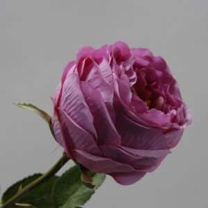 Roos Groot roze 65cm