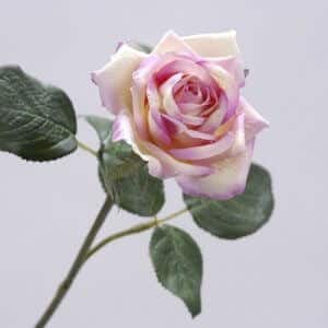 Roos roze wit 35cm