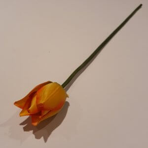 Tulp rood geel 30 cm