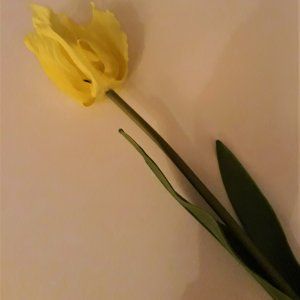 Tulp geel 50 cm