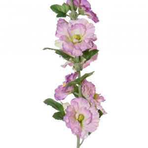 Stokroos lila-roze 87 cm