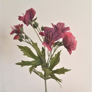 Ooievaarsbek 34 cm donker roze