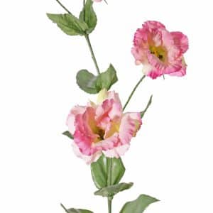 Lisianthus de luxe 80 cm
