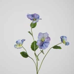 Viooltje hemelsblauw 67 cm