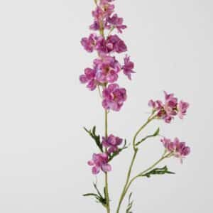 Delphinium paars roze 77 cm