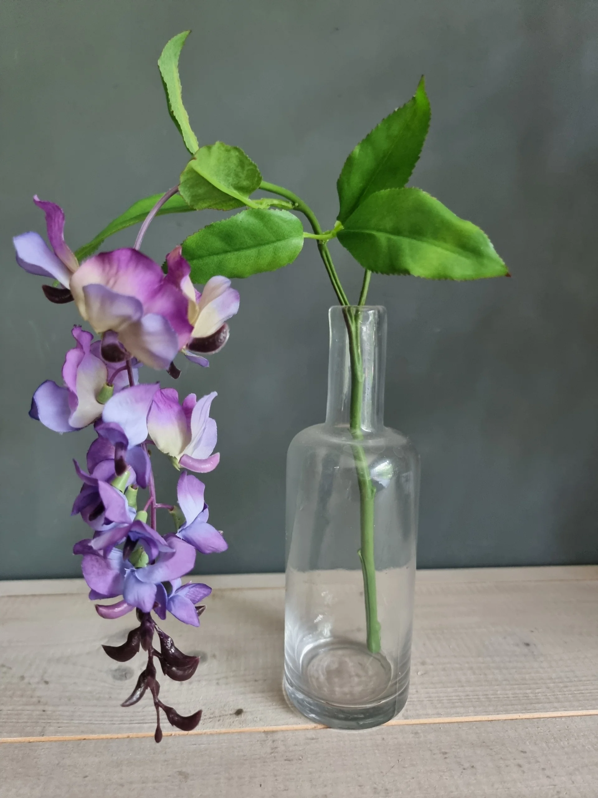 Wisteria paars 50cm - Afbeelding 2